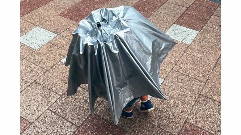 「銀色のカヌレが歩いてる！？」すれ違う歩行者を笑顔にした1歳息子の傘さし姿がかわいい…状況を母親に聞いた｜FNNプライムオンライン