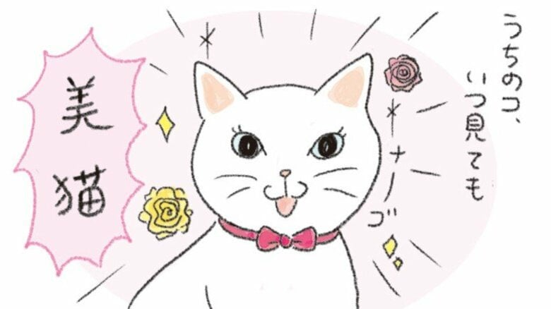 【漫画】なんでそんなに猫しぐさ　第1回「ギャップ萌え」｜FNNプライムオンライン