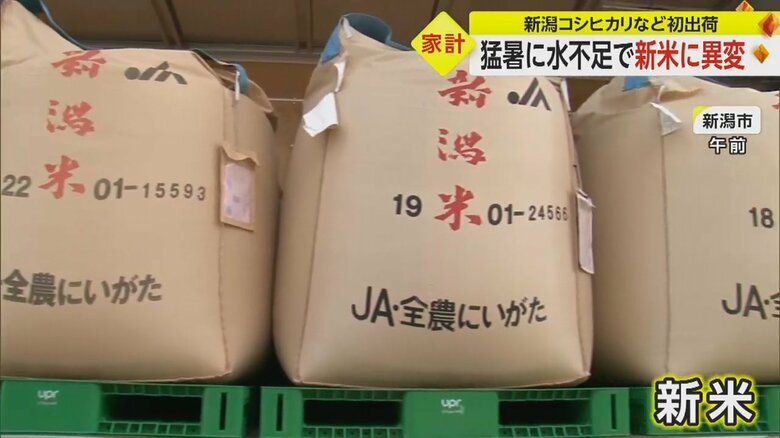 新米がトラックに積まれている