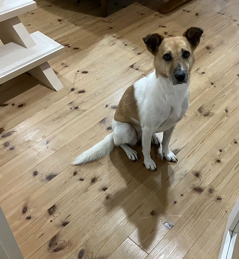 2年半の暮らしの中で初めてのお出迎え