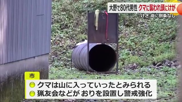 現場付近に檻を設置