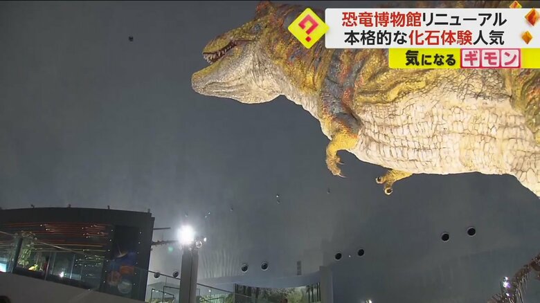 リニューアルオープンした恐竜博物館