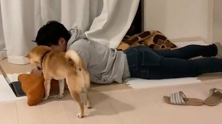 パパさんの近くにぬいぐるみを運び…