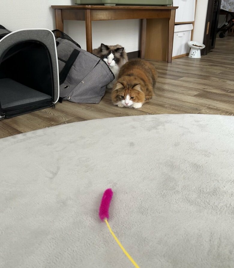 狙いを定めている