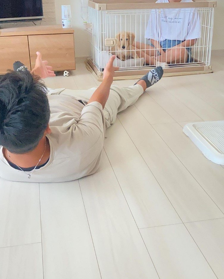 提供：___0516.wanさん