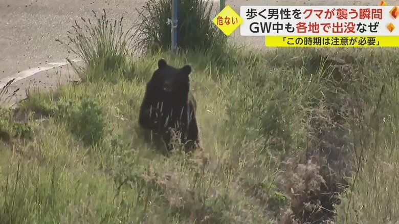 岩手･大槌町では、2日から、クマの出没が相次いでいた