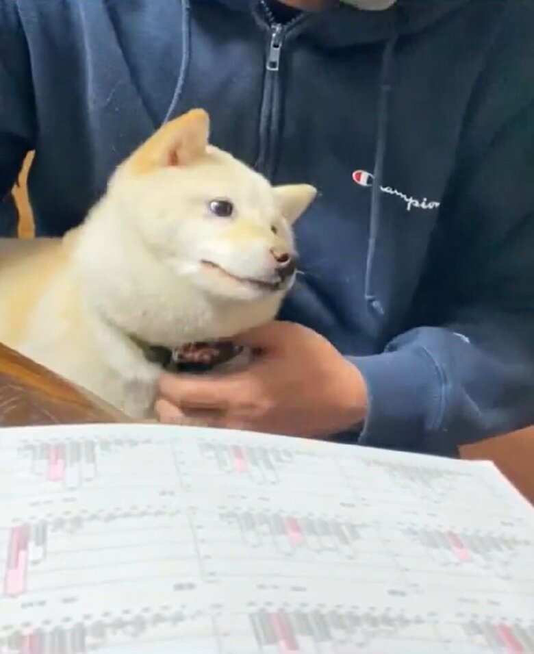 旦那さんの視線の先にカメラを向けると…