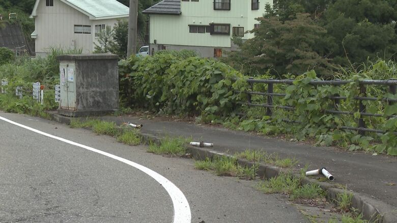 3本のポールをなぎ倒しゴミ集積場に衝突