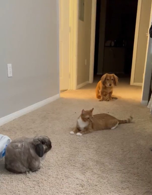 またも厳しい入室管理（提供：和泉ユタカさん）