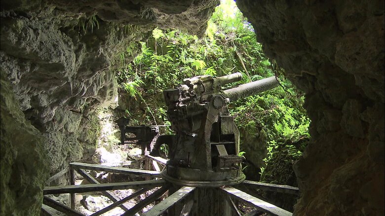 ペリリュー島に残る　旧日本軍の高角砲の残骸