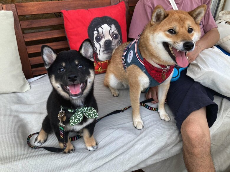 提供：小梅と小夏さん