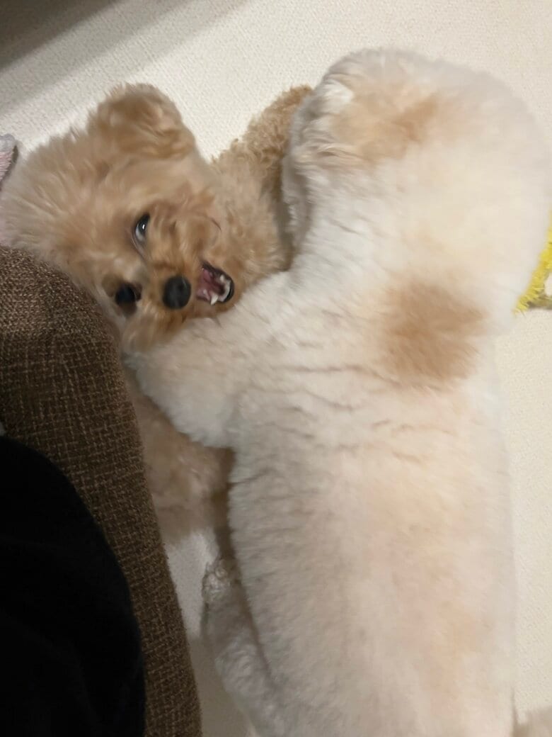 時にはワンプロになることも