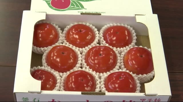 「甲子柿」目揃え会 釜石市の特産品 今年の出来は?<岩手県>