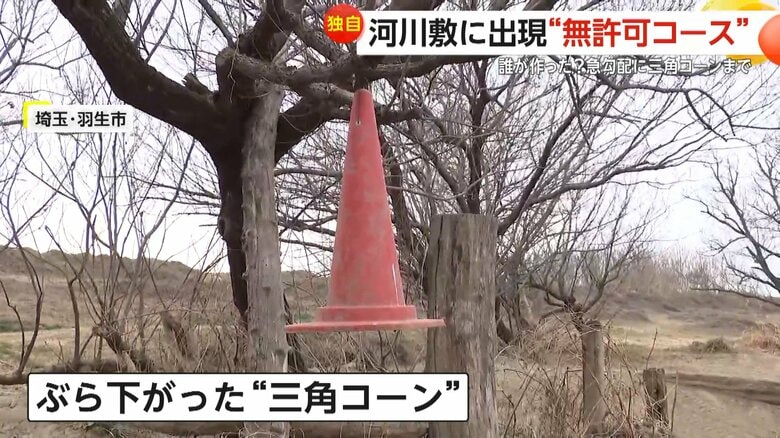 なぜか木にぶら下がっていた三角コーン（埼玉・羽生市、23日）