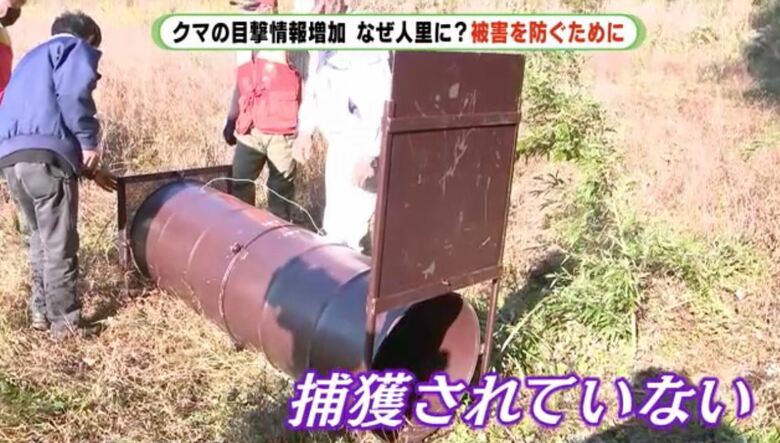 ワナを設置したが捕獲できず