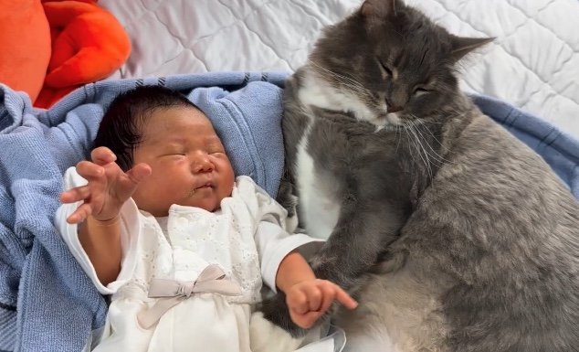 トントンするエルモくん（提供：エルモとみみりんさん）