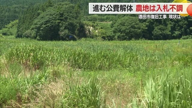 草地に見えるが、元はおいしい庄内米・コメがとれる田んぼだった場所
