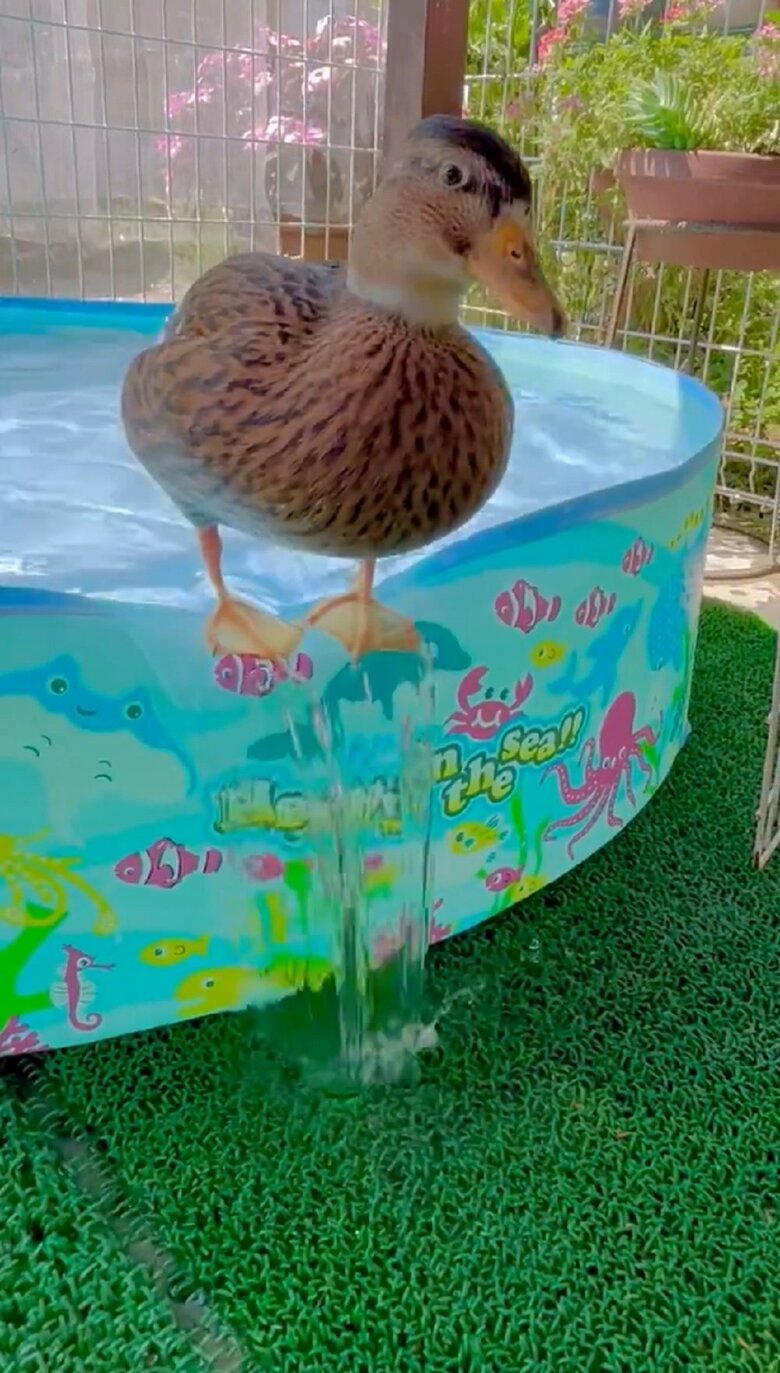 その間ずっと足元からは滝のように水が流れ出ている