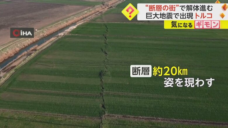 大地震によってできた亀裂