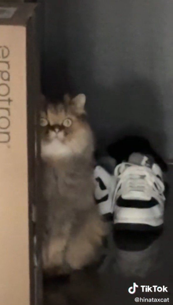 提供：ひなたさん