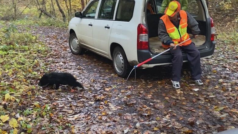 捕獲した子グマを山に返す