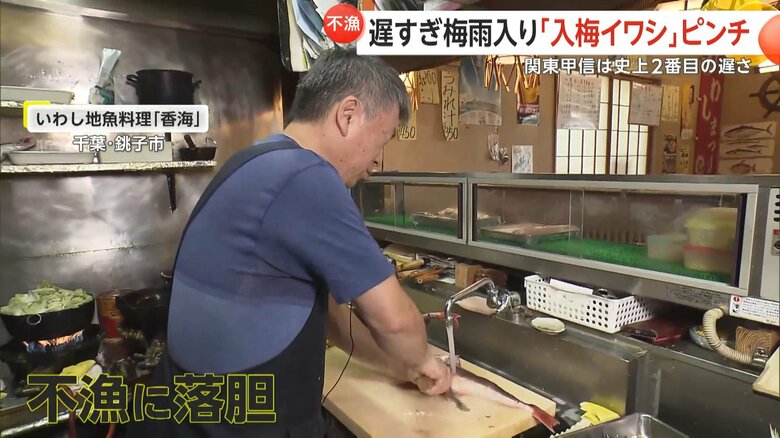 いわし地魚料理「香海」・畠山智店主も入梅イワシの不漁に肩を落とす