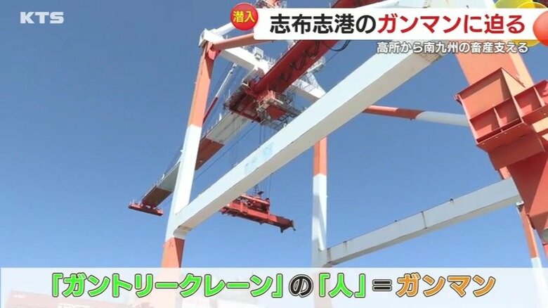 35ｍの高さで活躍する「ガンマン」