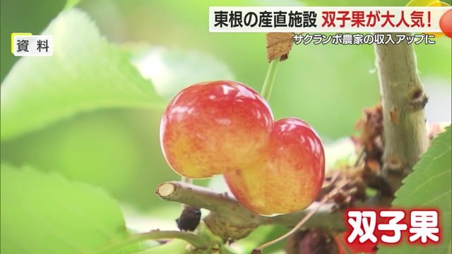 実がくっついた状態の「双子果」