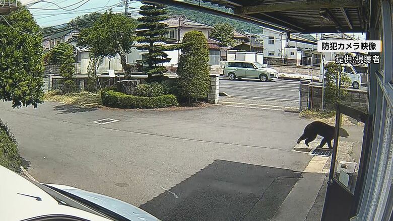 防犯カメラの映像（提供：視聴者）