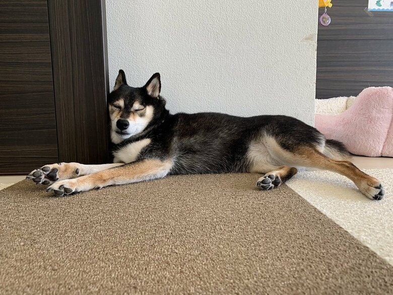 やる気が起きない…