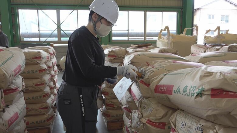 魚沼産コシヒカリ