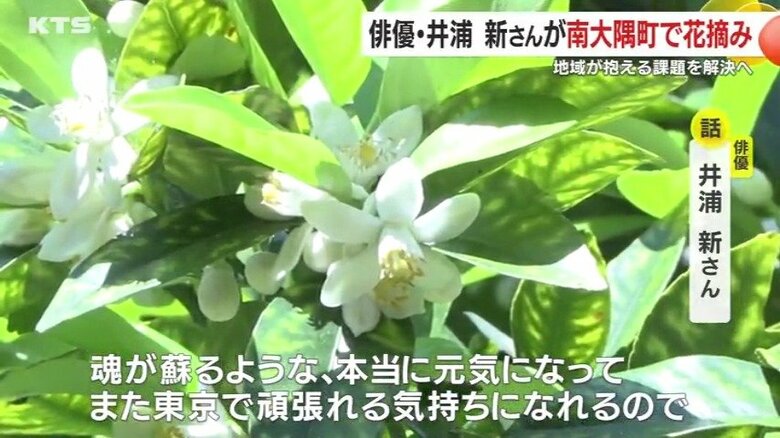 井浦さんに元気を与える南大隅町の自然