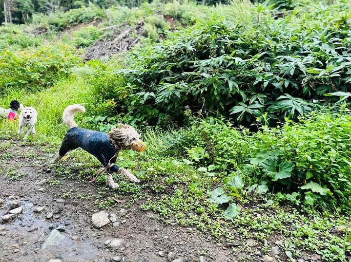 夏の泥遊び（提供：hair.axis）