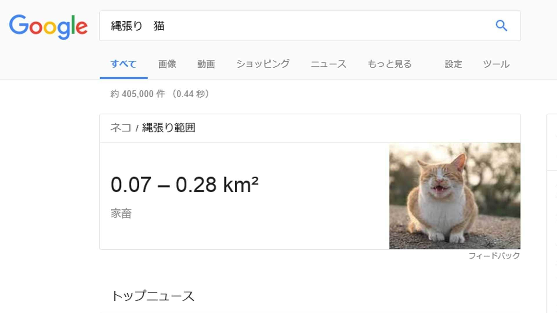 猫の縄張り まで検索できる Googleのナゾ機能を ぞくぞく検証してみた Google検索のナゾ機能が時々話題になりますが 新たに動物の縄張り 範囲が分かる機能が注目を集めています