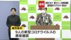 鹿児島市でクラスターか　県内感染確認は２１人に