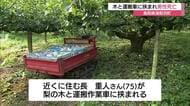 梨園で運搬作業中の75歳男性死亡　木と運搬作業車の間に挟まれる（鳥取・湯梨浜町）
