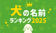 第21回 犬の名前ランキング2025発表!