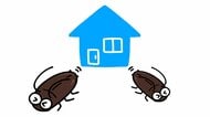 「ゴキブリ対策は秋が肝心」って誰が言ったの?秋に本気を出しても遅い理由と家でゴキを見なくなる徹底駆除方法【戸建て編】