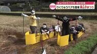 アサギマダラやヒガンバナ　大分県内に「秋の便り」日田市では個性豊かなかかし約100体が並ぶ　