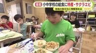 「サクラエビめちゃくちゃ感じます」地元の特産が学校給食に　黒はんぺんも使われた卵とじ「ももくろ丼」