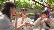 卒業前に思い出を！小学生をイチゴ狩りに招待　静岡・三島市