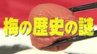 北陸最大級のウメの産地・若狭町　始まりは2人の豪農にあった　180年の歴史の謎を解き明かす【福井発】