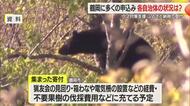 クマ対策支援ふるさと納税・鶴岡市に多くの申し込み…1週間で131件・85万4000円　山形