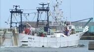 冬の味覚の王者松葉ガニ 鳥取県の各漁港からいざ出漁!