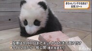 赤ちゃんパンダの名前は？　候補は３つ　投票受付始まる