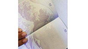 今は眺めておこう…新しいパスポートのデザインが「最高すぎる」と話題! 変更のワケを聞いた