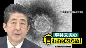 安倍政権の新型コロナ対応はどこが間違っていたのだろうか