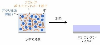 【大阪工業大学】水系ポリウレタンフィルム形成の仕組みを解明 環境にやさしい塗料や接着剤への応用に期待