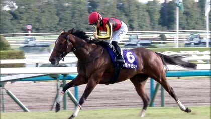 【秋華賞】ステレンボッシュvsチェルヴィニア“白熱の2冠争い”を制するのは？