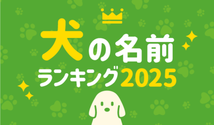 第21回 犬の名前ランキング2025発表!